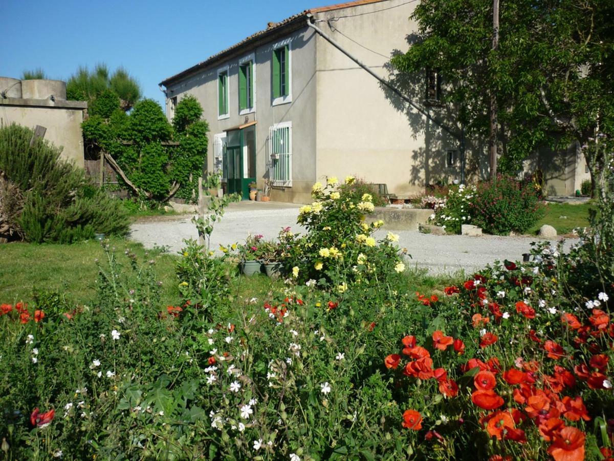Villa Virevent Carcassonne Exterior foto